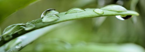 B is for Blessed water 4-2016 devotional